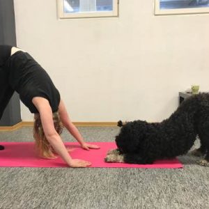 Do as I do - härma mig! 14/1