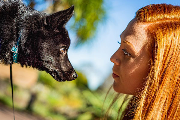 Från stress till fokus 12/11