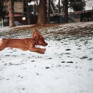 "Ja men kom nu då!" - Inkallningskurs intensiv 6/12